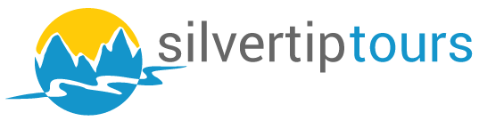 silvertip-logo-title-robot